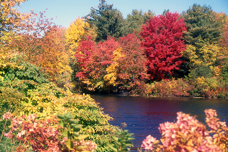 New England Fall Foliage