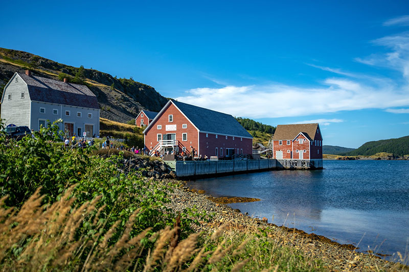 Magical Newfoundland - July 1 - July 10, 2023 - 10 Days, 9 Nights