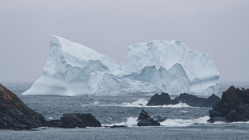 Magical Newfoundland